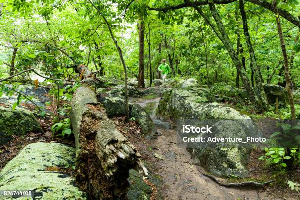 Trail Running Hiking In Great Falls Virginia Stock Photo - Download Image Now - McLean - Virginia, Potomac River, Athlete
