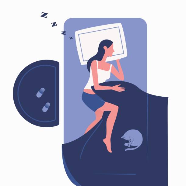 Top view of a woman sleeping in bed with a cat. Flat vector illustration Top view of a woman sleeping in bed with a cat. Flat vector illustration bedtime illustrations stock illustrations