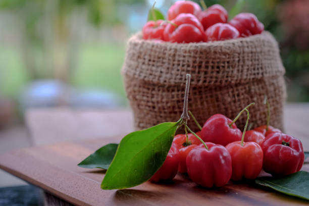 istock Acerola fruit close up on background 826748640