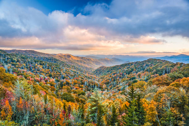 Smoky Mountains National Park Smoky Mountains National Park, Tennessee, USA autumn landscape at Newfound Gap. gatlinburg great smoky mountains national park north america tennessee stock pictures, royalty-free photos & images