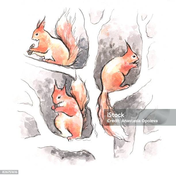 Squirrels Stock Illustration - Download Image Now - Animal, Animal Wildlife, Art