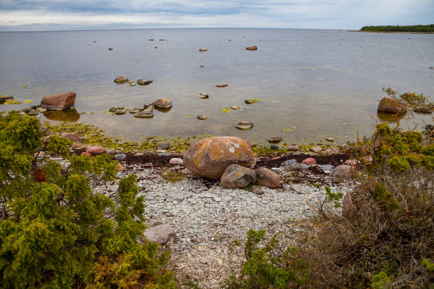 istock Beautiful rocky sea shore. Baltic limestone cliff. 826753070