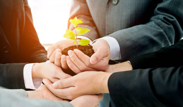 istock Business team holding plant together 826756212