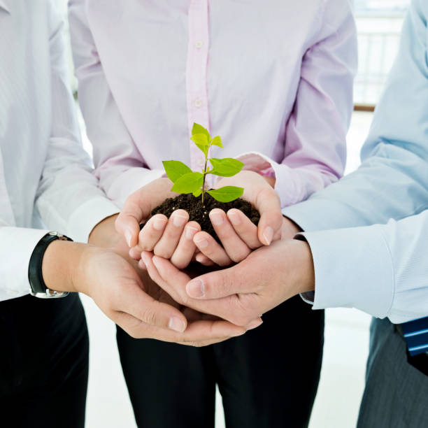 istock Business team holding plant together 826756564