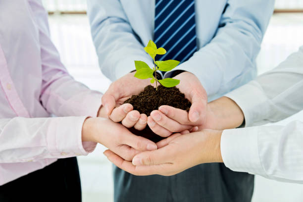 istock Business team holding plant together 826756714