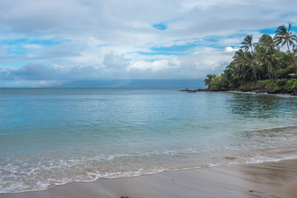 istock Maui Fisherman 3 826766560