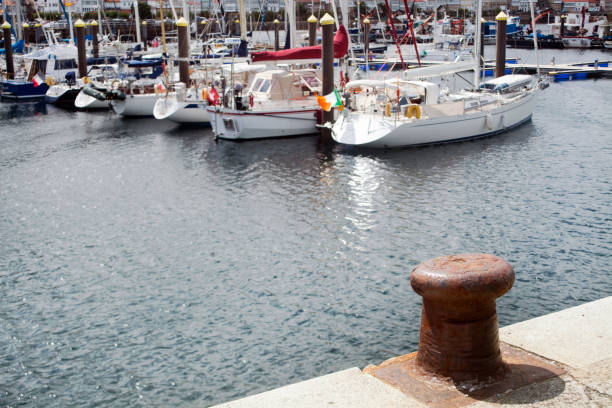 istock Sailboat bows and sterns, masts and reflection. 826771444