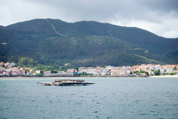 istock Batea mooring. Townscape and landscape. 826771518