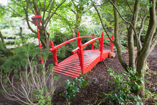 Red Japanese style bridge and street lamp in forest