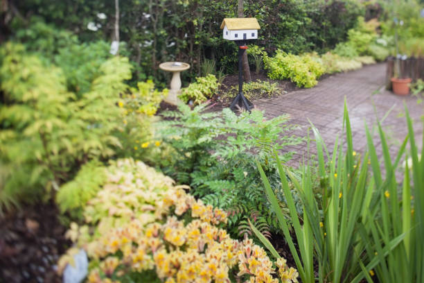 istock Lush green garden 826778590