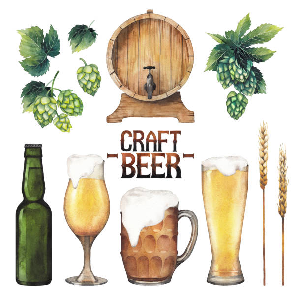 Watercolor beer collection Watercolor glasses of beer, bottle, barrel, hops and malts. Hand painted Beer Fest design elements isolated on white background water colour beer hops stock illustrations