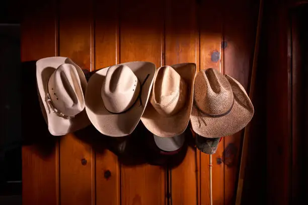 Four cowboy hats hung in row on wooden paneled wall