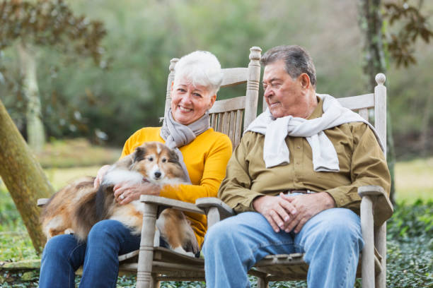 istock Senior couple sitting outdoors with their dog 826786254