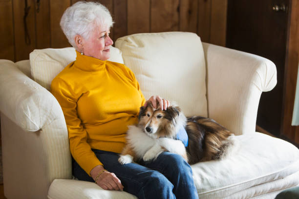 istock Senior woman on couch with therapy dog 826788692