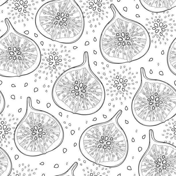 Fig Tree Simple Pattern 20,500+ Figs Pattern Stock Photos, Pictures & Royalty-Free Images - iStock