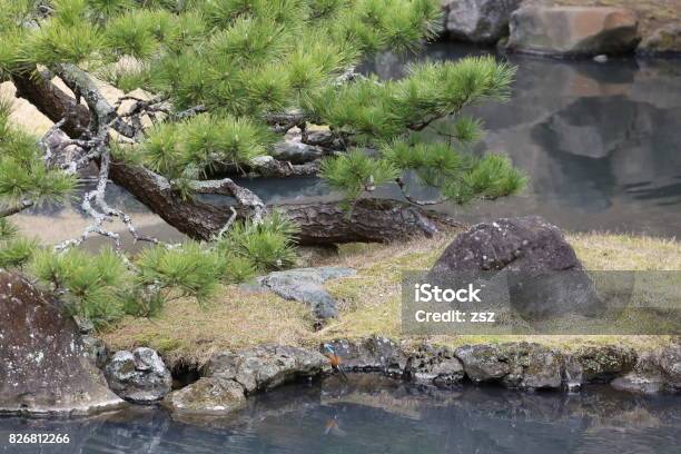 Visiting Places In Japan Stock Photo - Download Image Now - Bird, Emotion, Horizontal