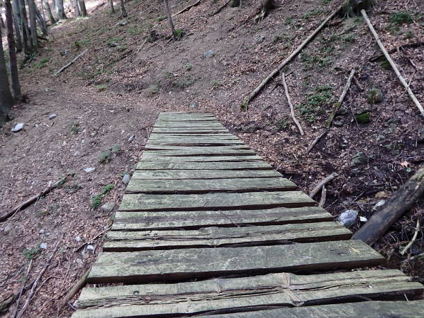 istock Wooden bridge in the forest 826812888