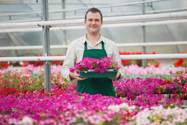 istock Man holding array of flowers in greenhouse 826813208