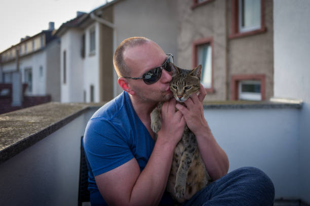 istock Savannah cat with owner cuddling 826819608