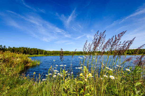 istock reflection of clouds in the lake 826830670