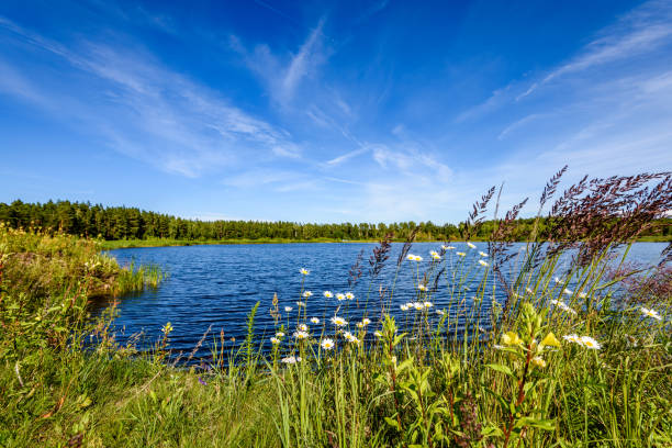 istock reflection of clouds in the lake 826830672