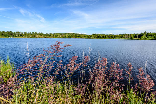 istock reflection of clouds in the lake 826830700