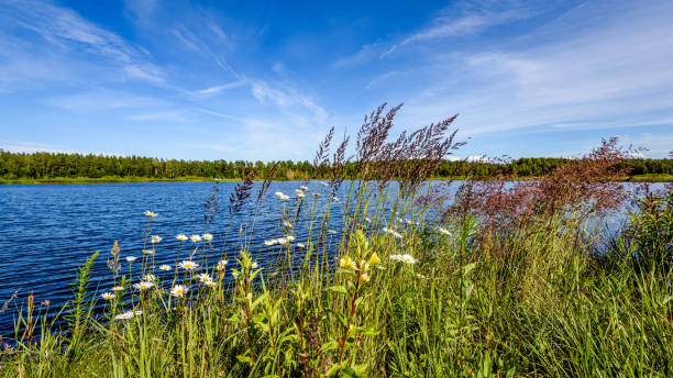 istock reflection of clouds in the lake 826830816