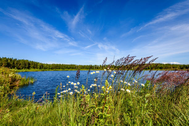 istock reflection of clouds in the lake 826830926