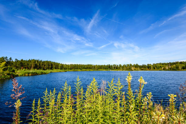 istock reflection of clouds in the lake 826831004