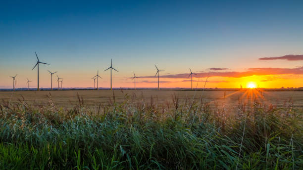 istock Sunset at Conisholme Wind Farm in Lincolnshire 826834258