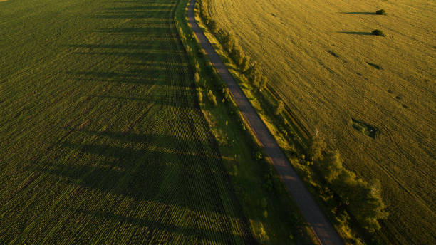 istock Landscape field view from above at sunset 826837758