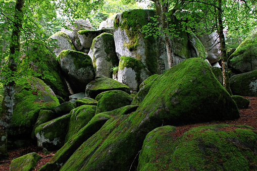 Beautiful rocks with green moss called Guenterfelsen in the Black Forest, Germany