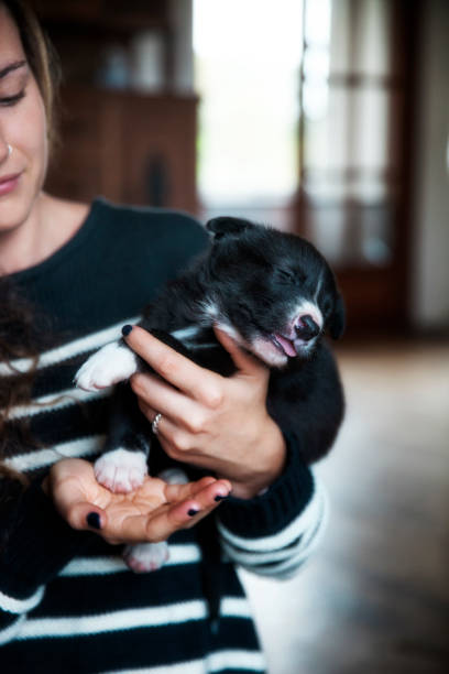 istock Young woman w small puppy. 826846778