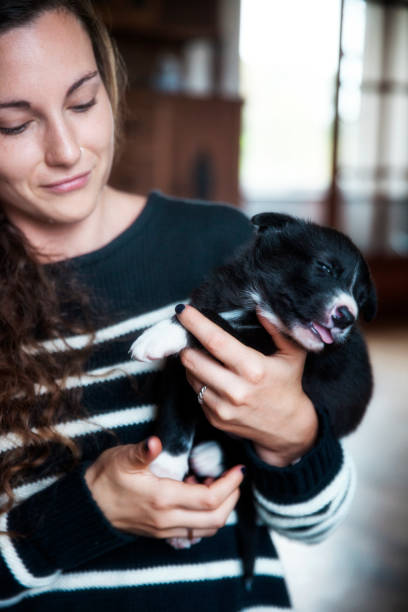 istock Young woman w small puppy. 826846792