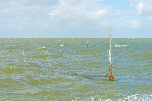 Fish trap in a stormy lake in summer