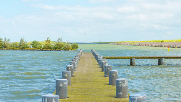 istock Jetty in a stormy lake in sunlight in summer 826849636