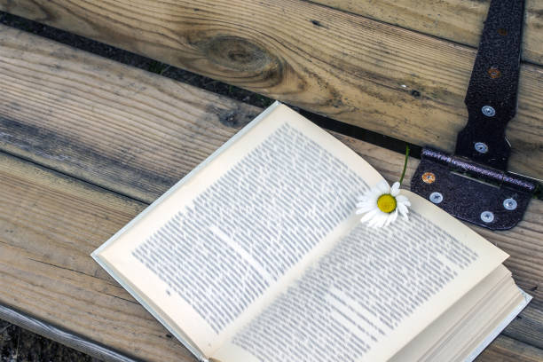 Open book with a bookmark - a daisy flower in the park on the bench