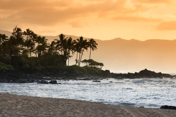 waimea bay beach park oahu hawaii - waikiki beach foto e immagini stock