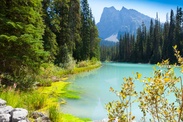 istock emerald lake yoho national park british columbia canada 826859928