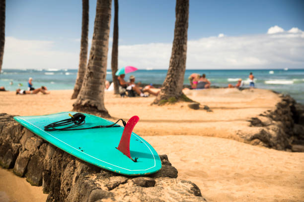 Surfboards along the Pacific Ocean shore of Waikiki beach in Honolulu, Oahu, Hawaii USA