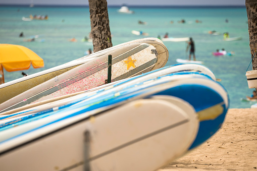 Surfboards along the Pacific Ocean shore of Waikiki beach in Honolulu, Oahu, Hawaii