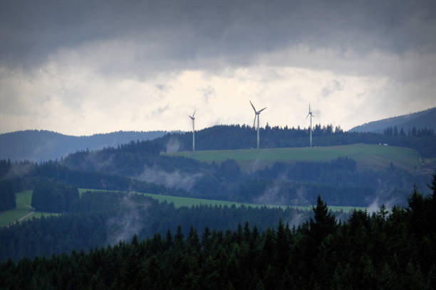 istock Beautiful mountain landscape at dusk in the Black Forest, Germany 826865244