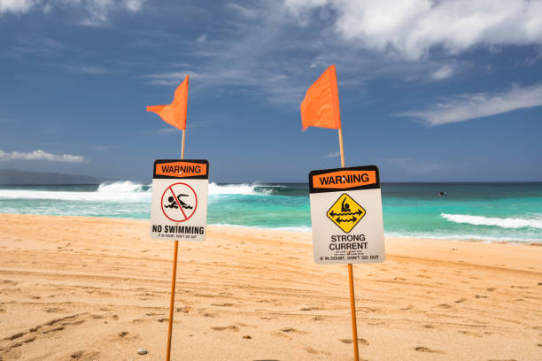 istock Warning signs on Sunset Beach North Shore Oahu Hawaii 826870360
