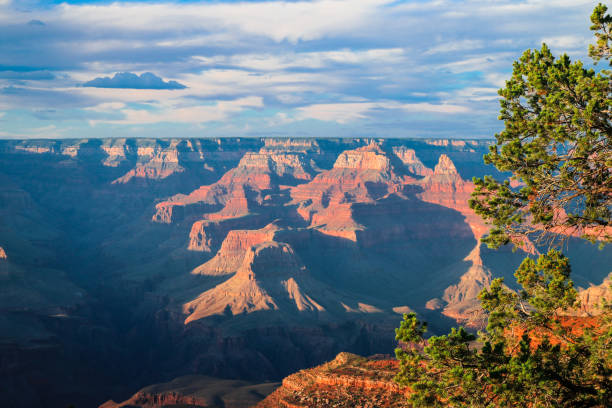 istock Grand Canyon National Park. 826870562