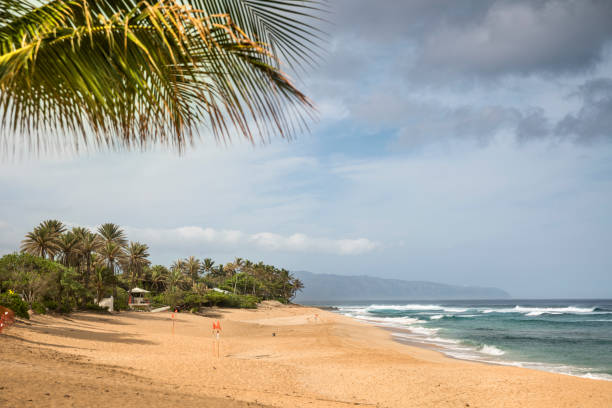 istock Sunset Beach North Shore Oahu Hawaii 826872750