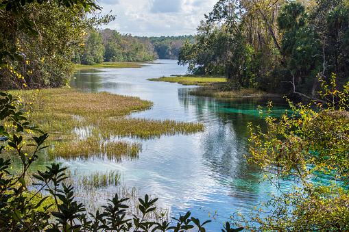 Headwaters of the Rainbow River near Dunnellon, Florida. Gulf Coast states.