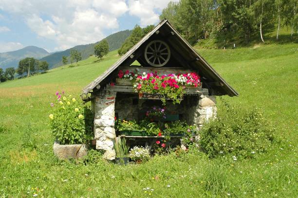 Hut with Flowers in Dolomites, Val Pusteria. Italy. Hut with Flowers in Dolomites, Val Pusteria. Italy. alpine hulsea photos stock pictures, royalty-free photos & images