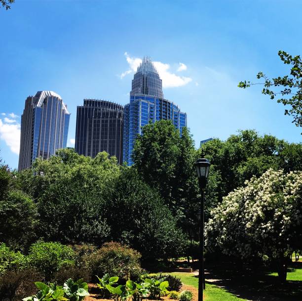 istock City in Nature 826917532