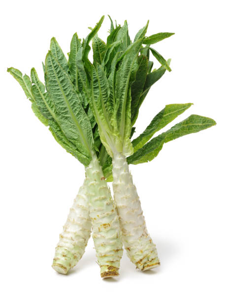 istock Lettuce, celery, lettuce, dried and isolated on white  ，green leaves 826935108