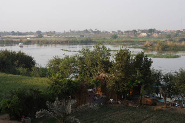 istock The Nile bank 826936246